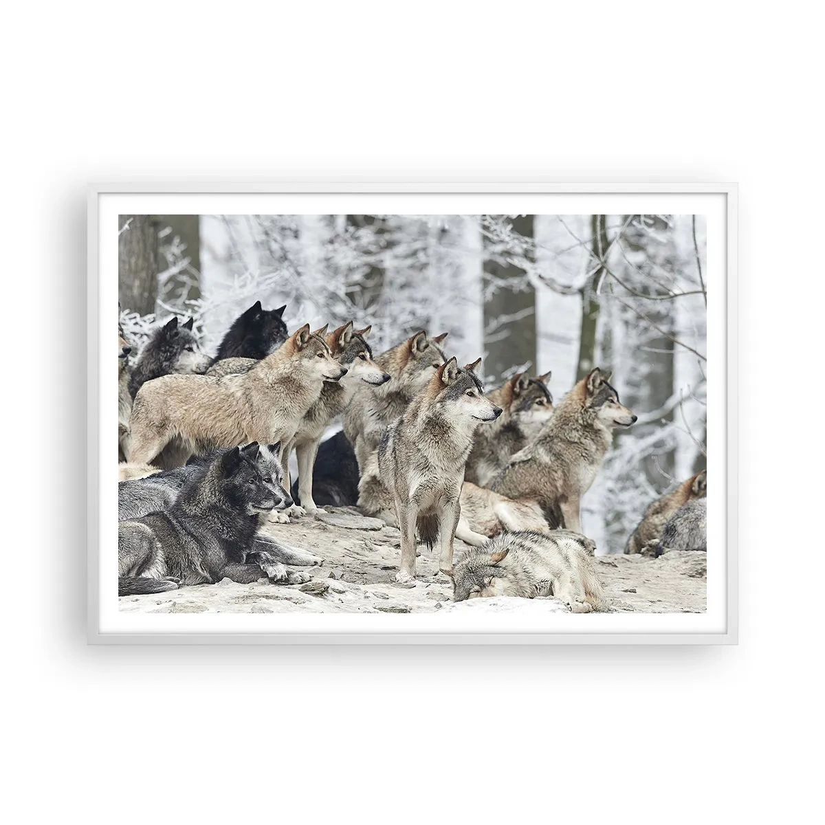 Poster in white frmae - Family and Friends - 100x70 cm