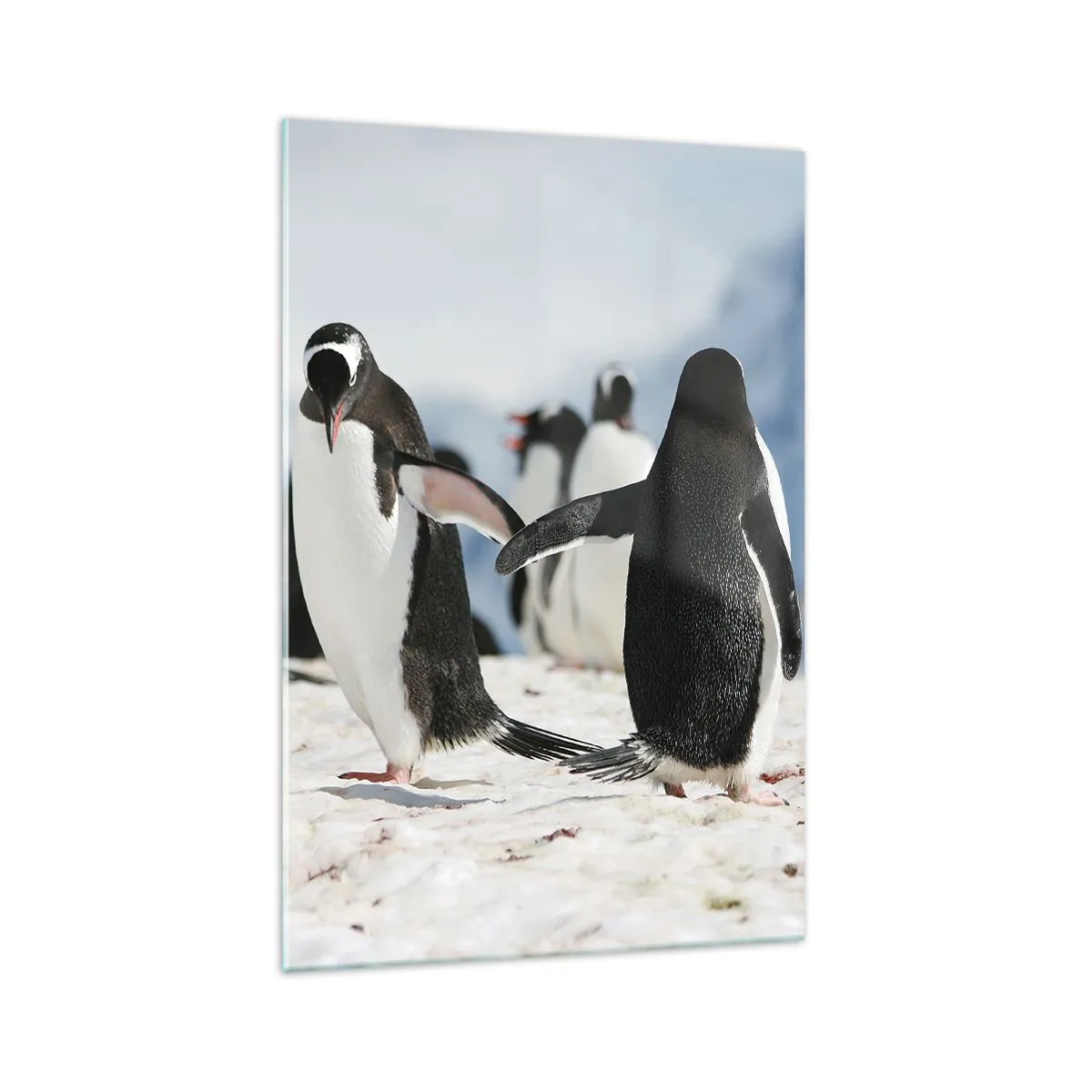 Glass picture - Dance in the Snow - 70x100 cm