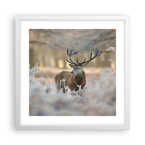 Poster in white frmae - Chilly Morning - 40x40 cm