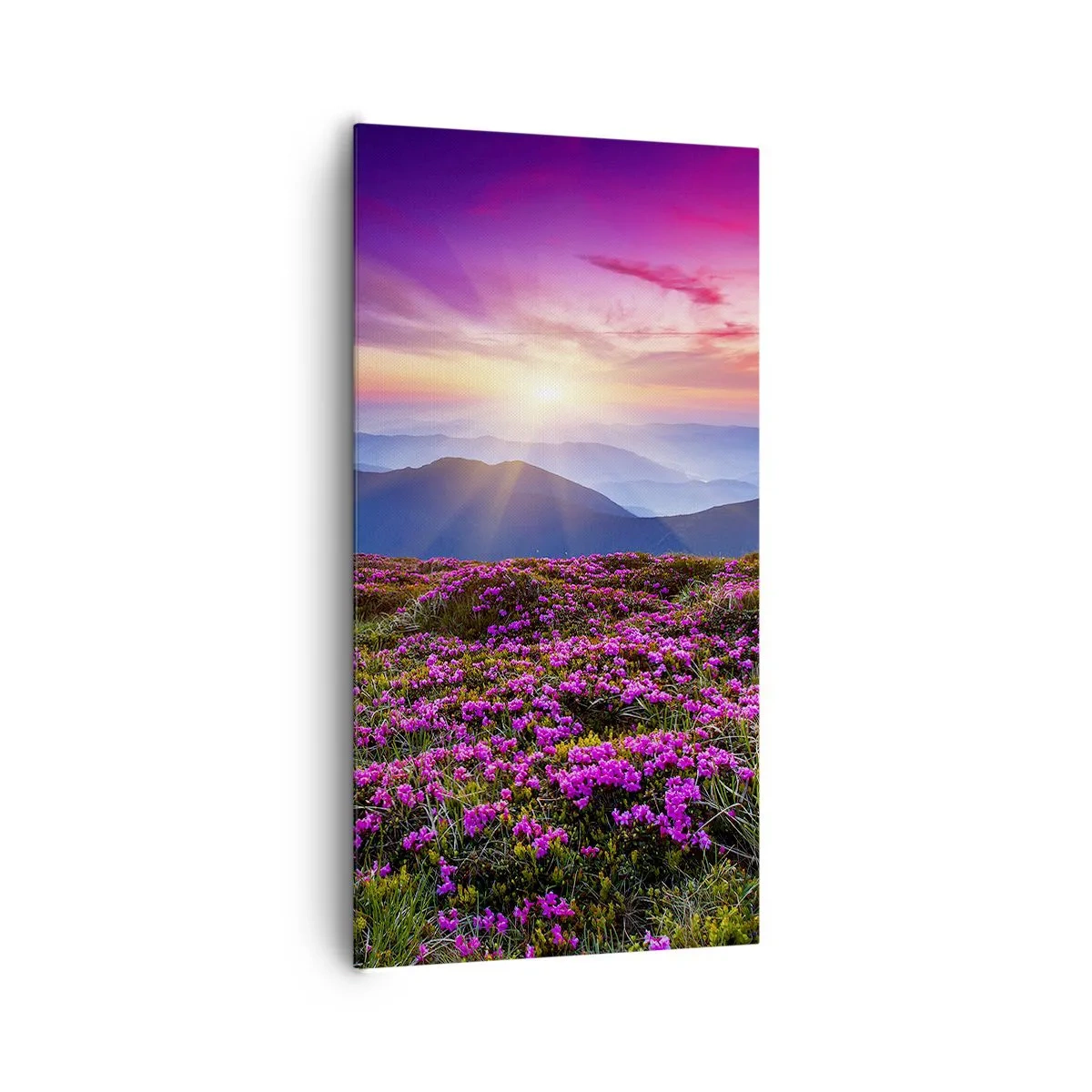 Canvas picture - Smells Strongly of Herbs - 65x120 cm