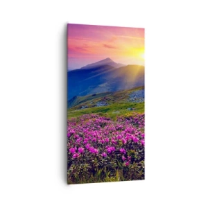 Canvas picture - Surrounded by Mountain Pine and Herbs - 65x120 cm