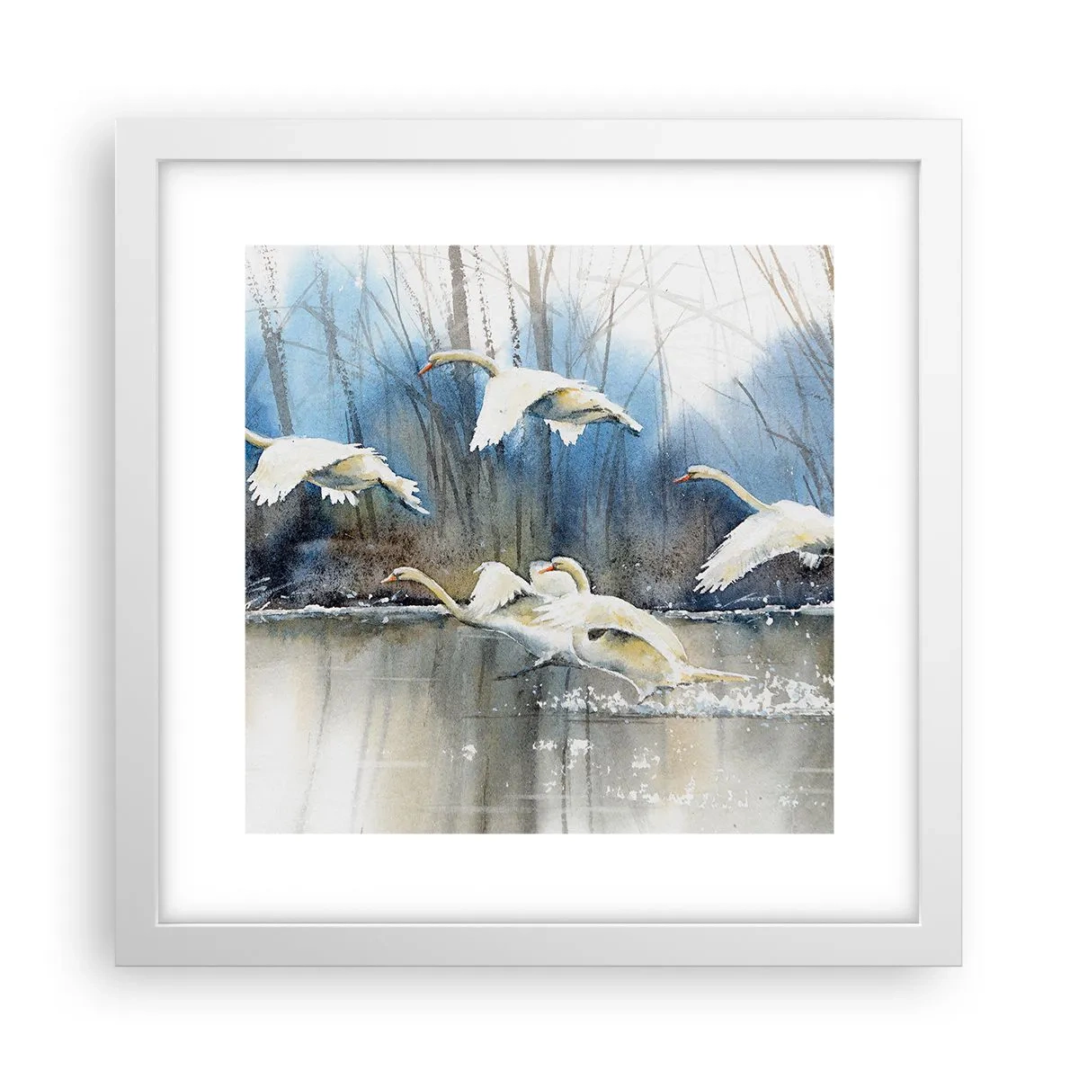 Poster in white frmae - Like in a Fairy Tale about Wild Swans - 30x30 cm