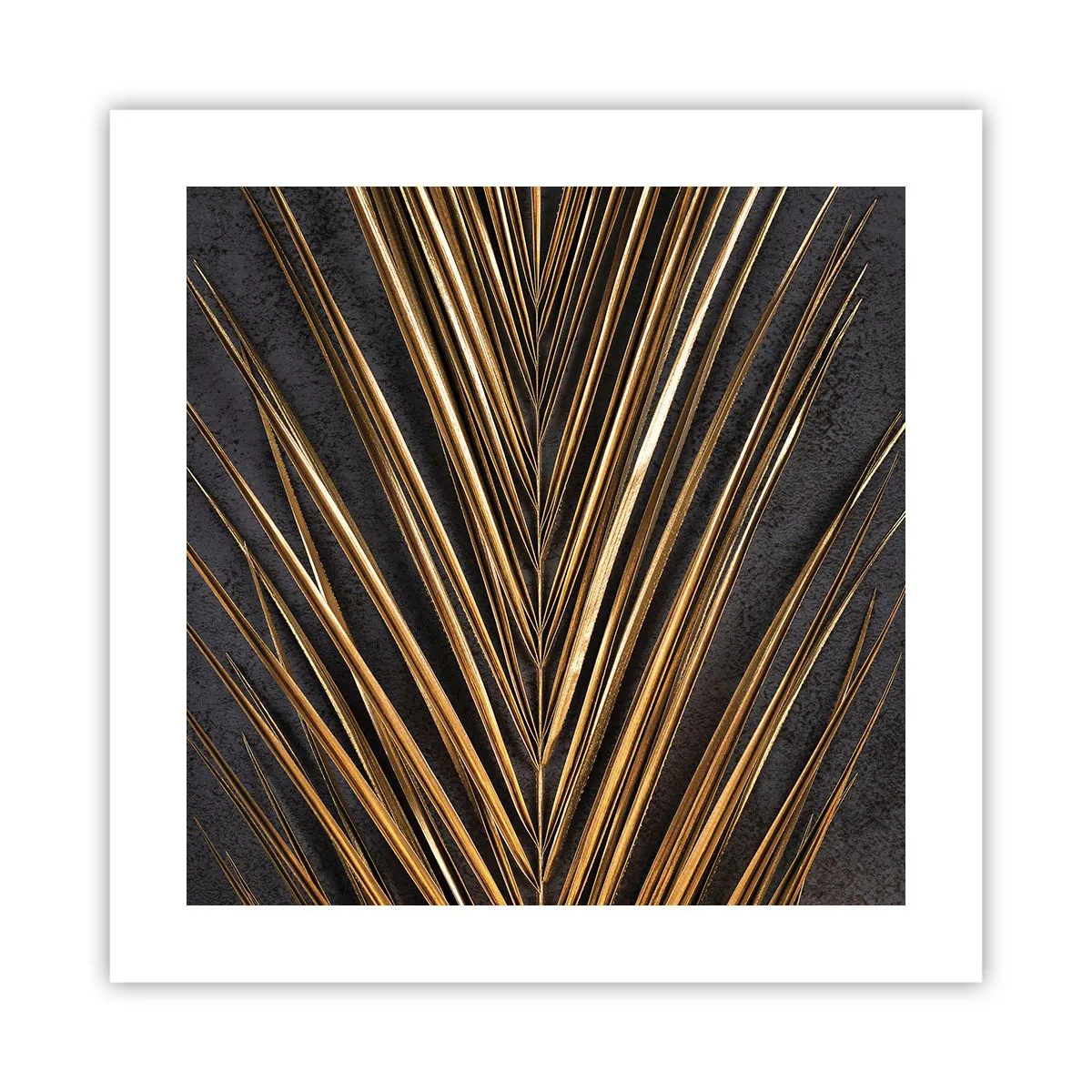 Poster - Gold of the Tropics - 40x40 cm