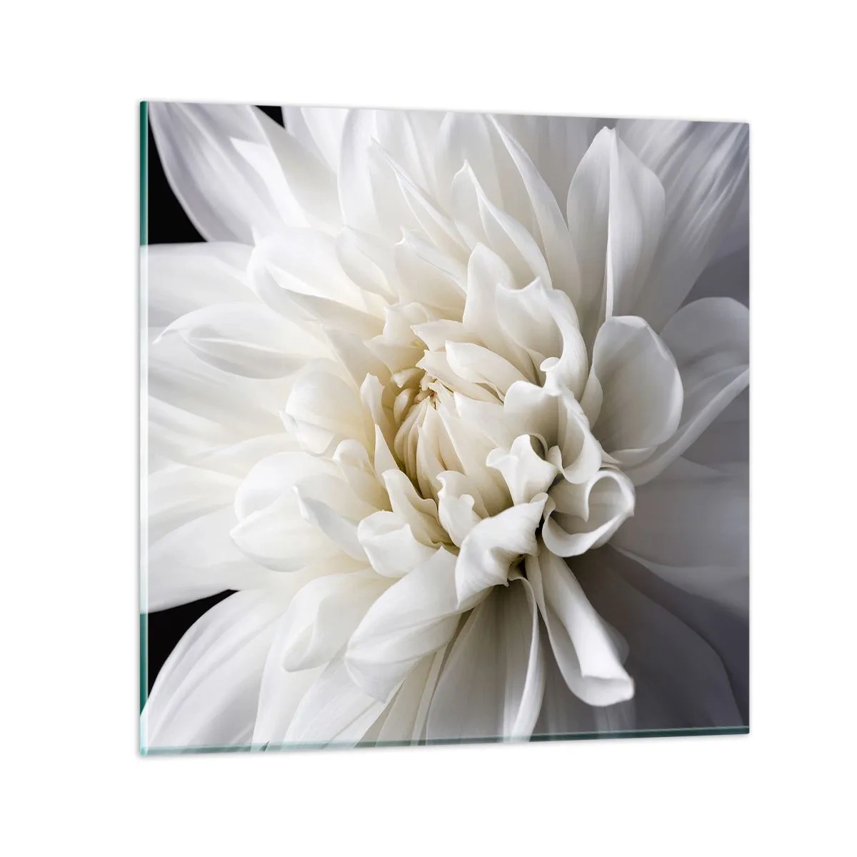 Glass picture - Bride's Morning - 40x40 cm