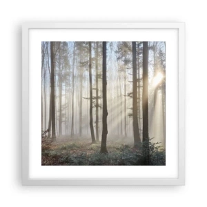 Poster in white frmae - Fog Has Woken up Too - 40x40 cm