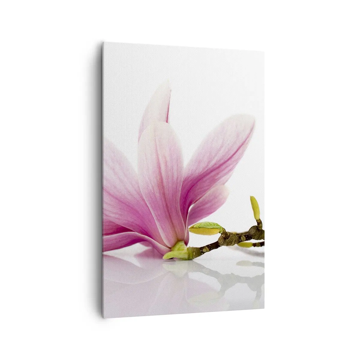 Canvas picture - Delicate Like a Spring Breeze - 80x120 cm