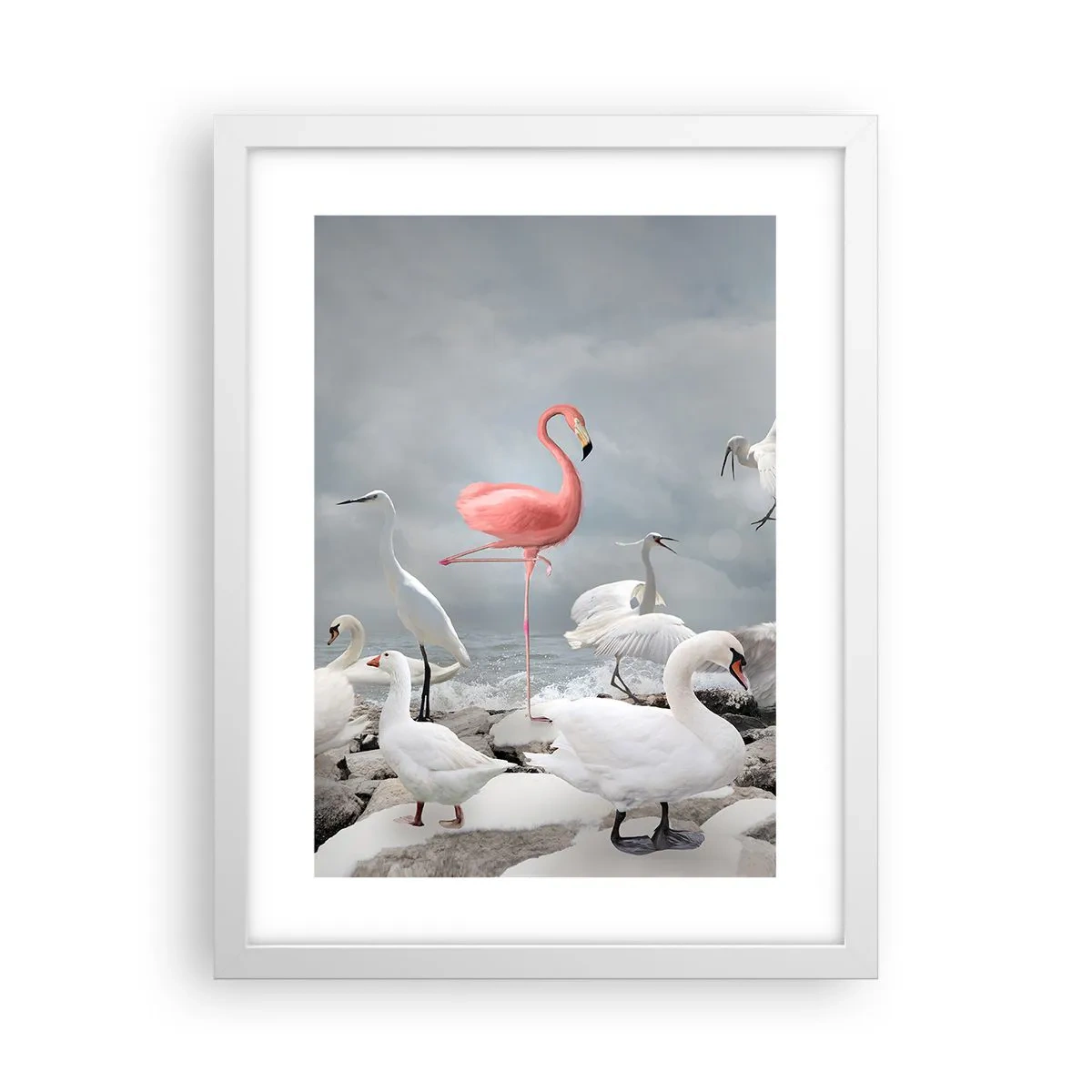 Poster in white frmae - Where Did I Come from? - 30x40 cm