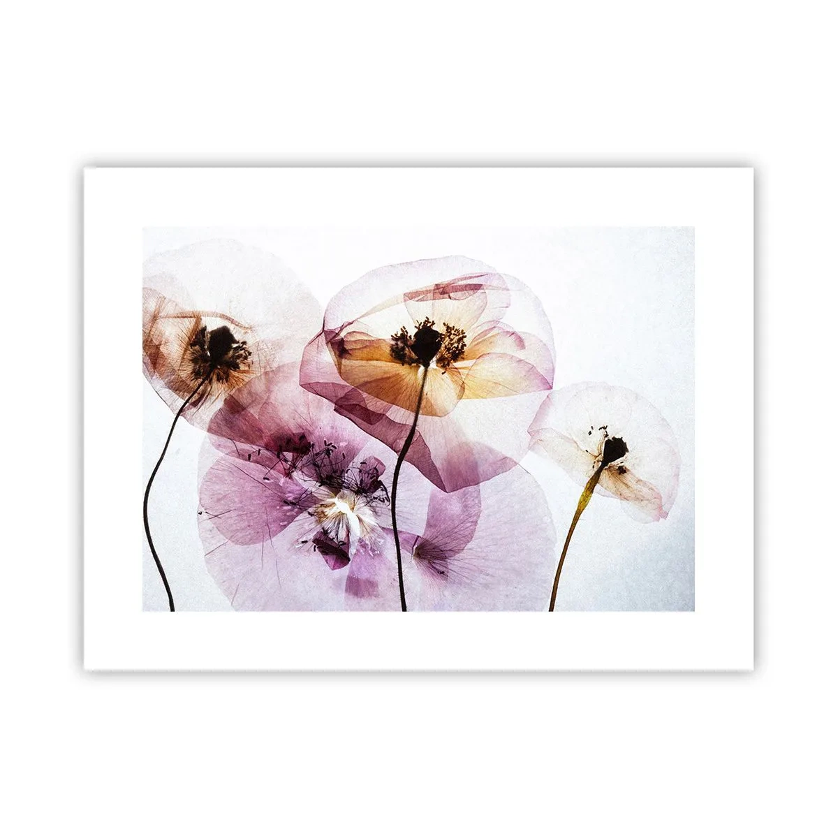 Poster - Flower Body Slide - 40x30 cm