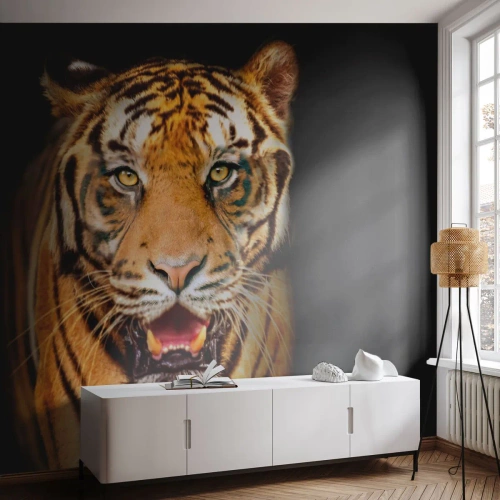 Photo Wallpaper Premium Canvas - Wild at Heart - Animals, Tiger, Predator - 200x140 cm