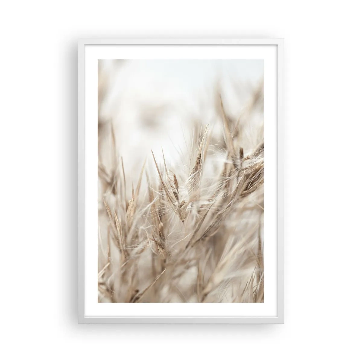Poster in white frmae - Meadow and Wind - 50x70 cm
