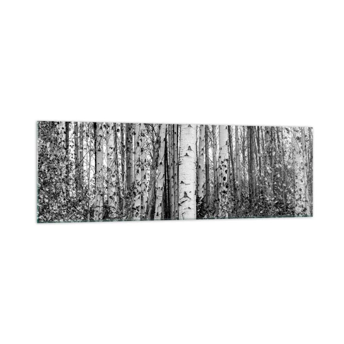 Glass picture - Birch Colonnade - 160x50 cm