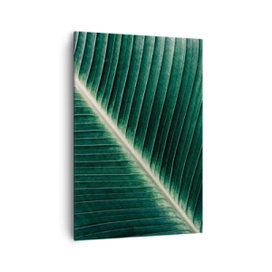 Canvas picture - Rhythm of Nature - 70x100 cm