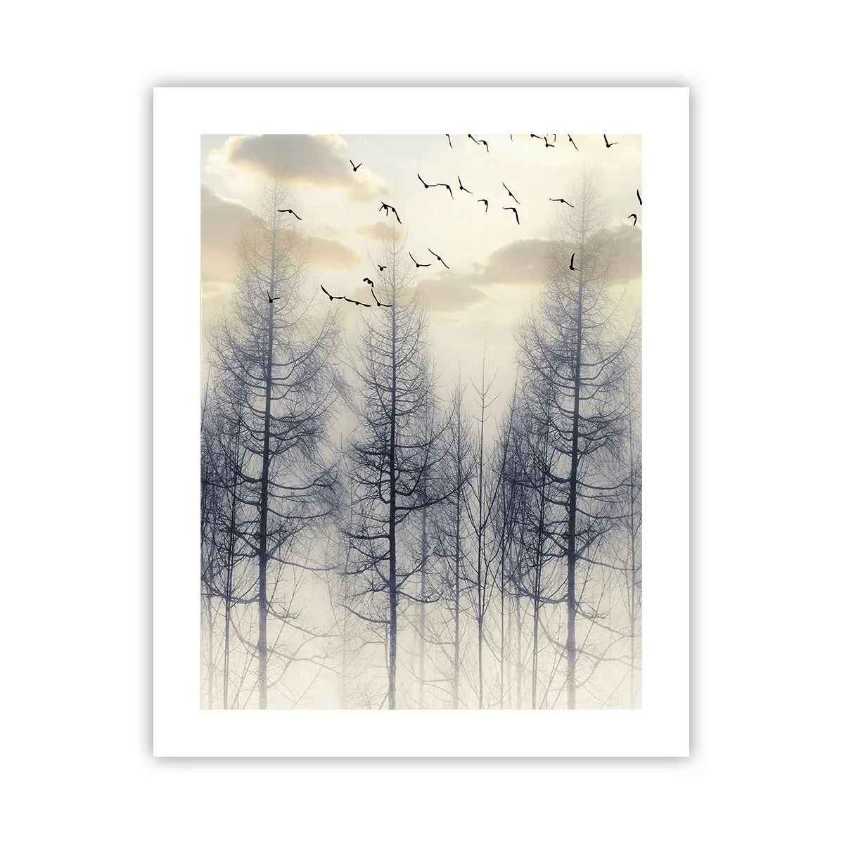 Poster - Spirits of the Forest - 40x50 cm