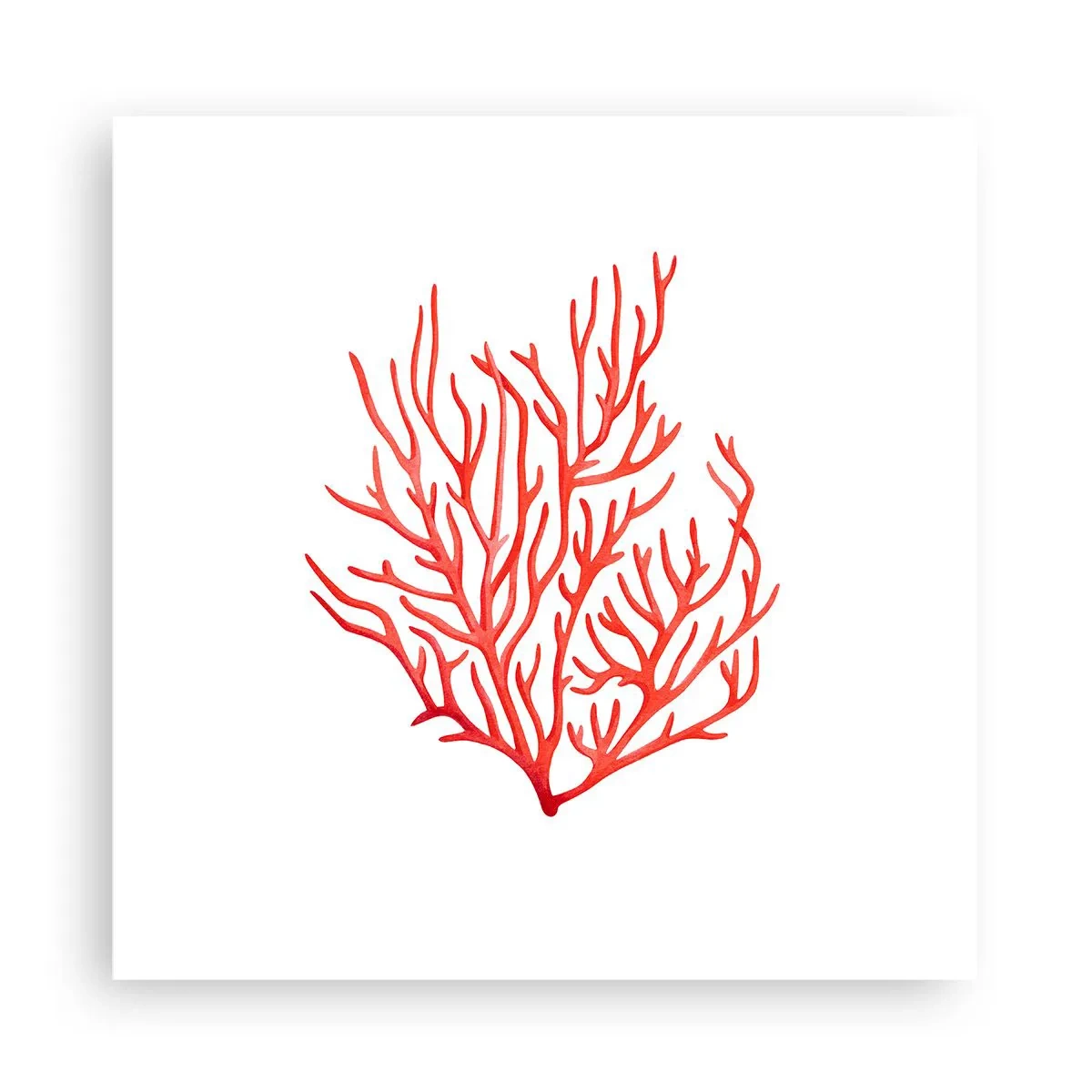 Poster - Coral Filigree - 30x30 cm