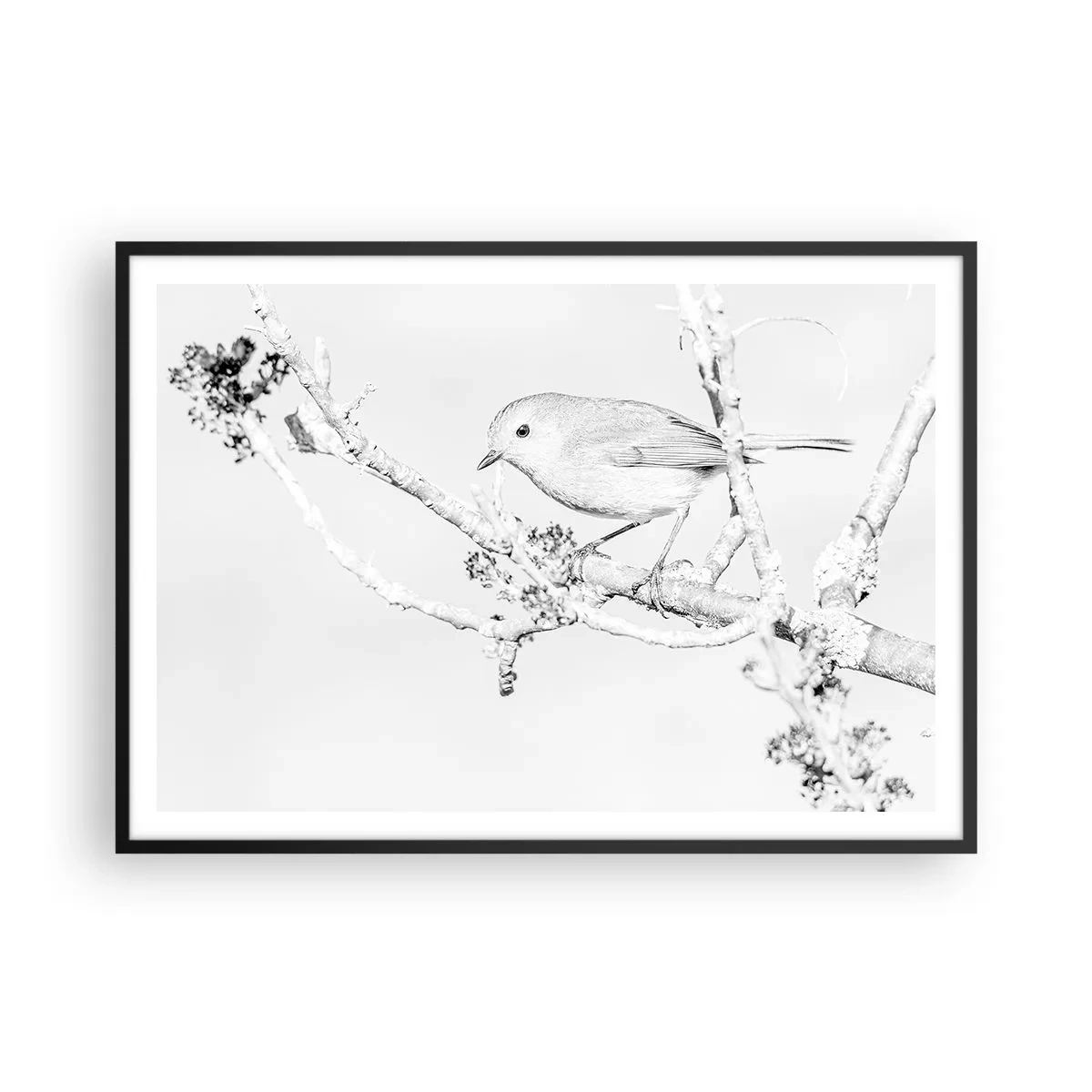 Poster in black frame - Winter Morning - 100x70 cm