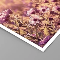 Unframed