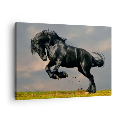Canvas picture - A dark horse in a dynamic jump against the sky - 70x50cm - Beautiful and Free - Modern wall decoration for the living room and bedroom ARTTOR