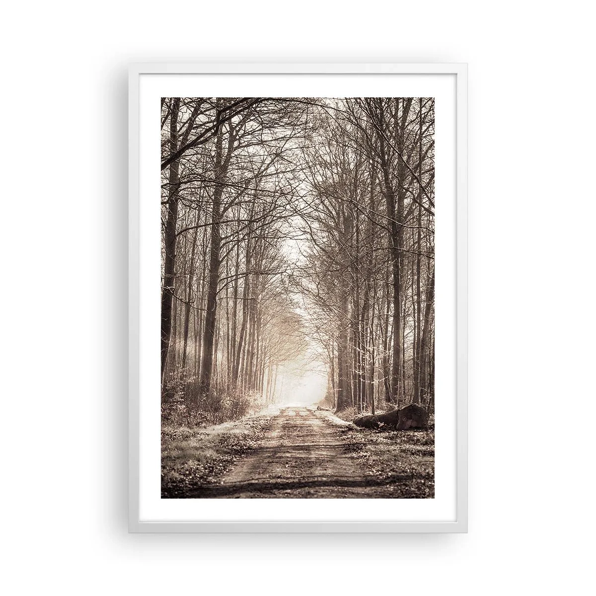 Poster in white frmae - Cathedral of the Forest - 50x70 cm