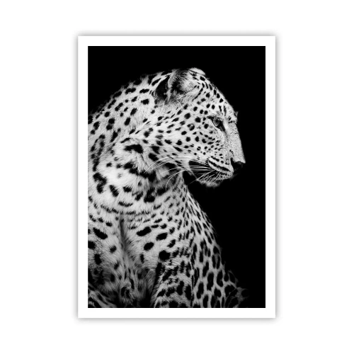 Poster - A Perfect Right Profile  - 70x100 cm