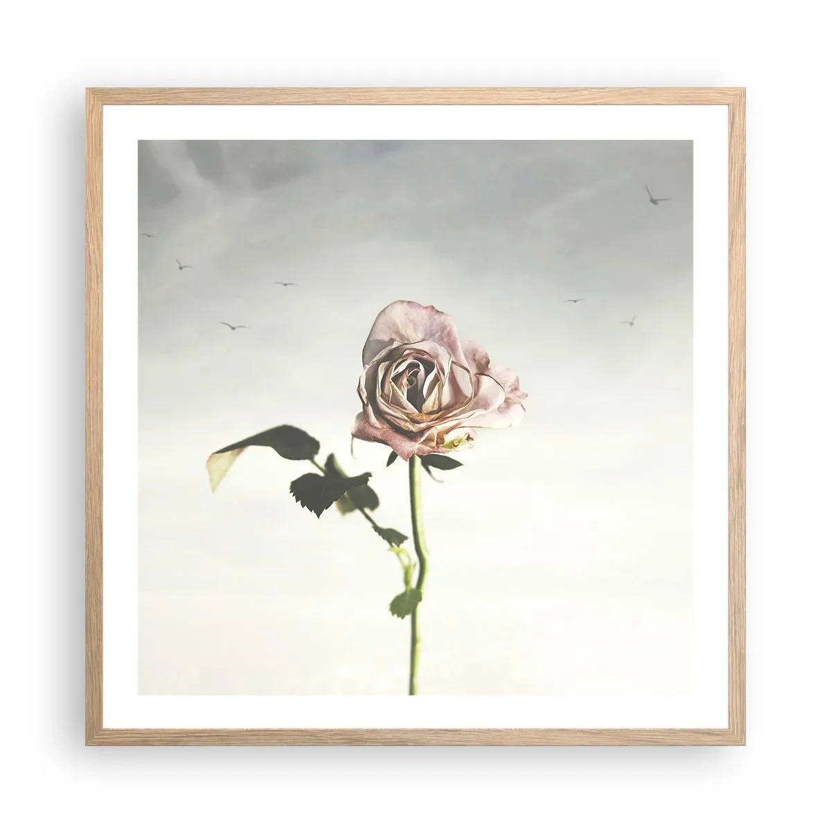 Poster in light oak frame - Welcoming of Spring - 60x60 cm