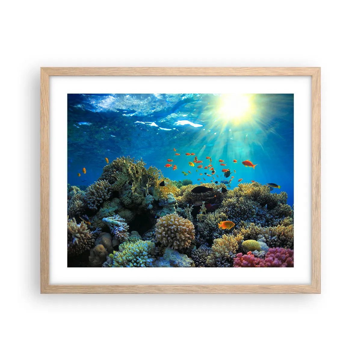 Poster in light oak frame - Underwater Treasures - 50x40 cm