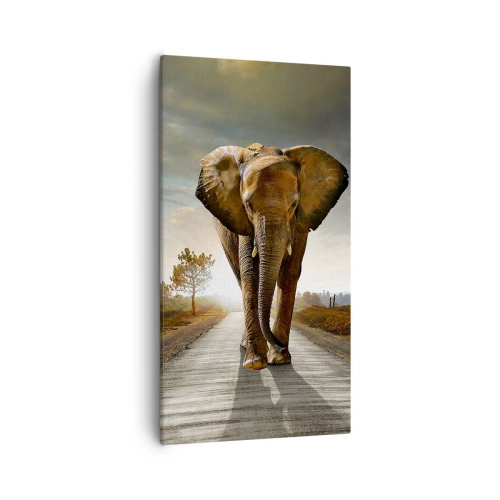 Canvas picture - Not in a China Shop - 55x100 cm