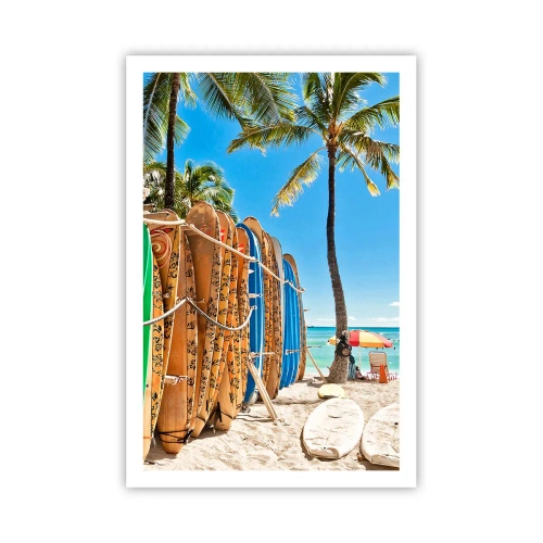 Poster - Sunny Fun - 61x91 cm