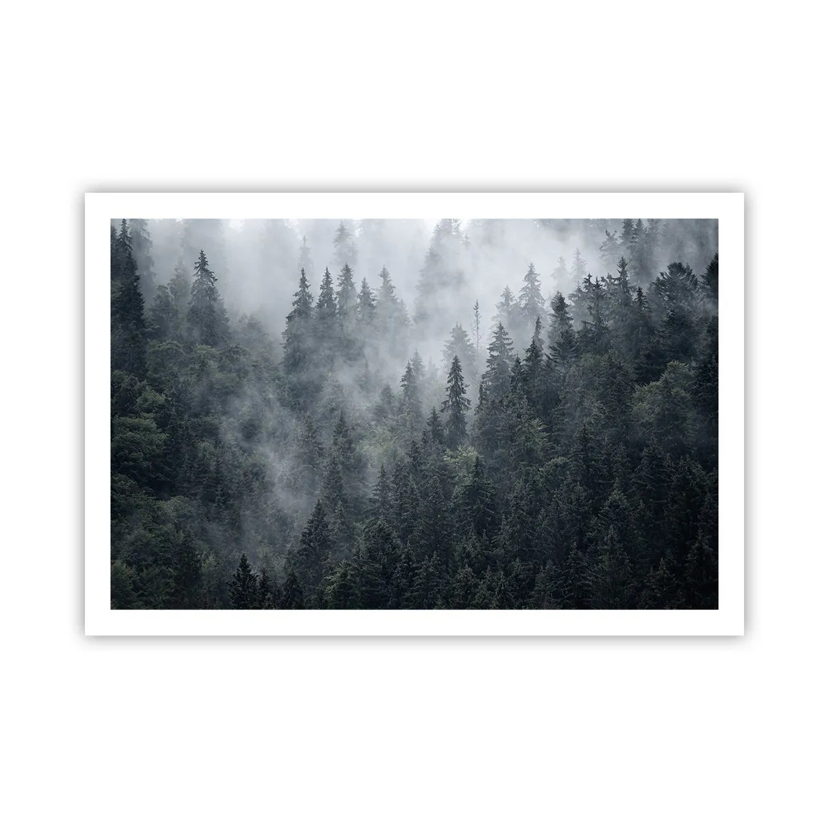 Poster - Forest World - 91x61 cm