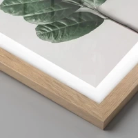 Light Oak
