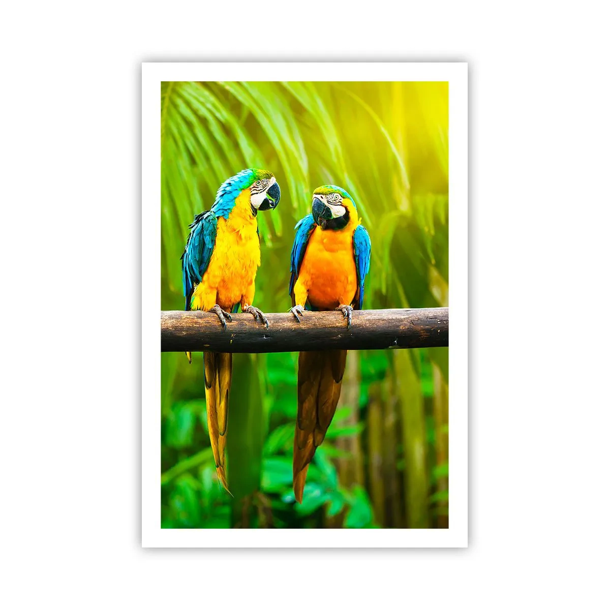 Poster - Did You Hear that She…? - 61x91 cm