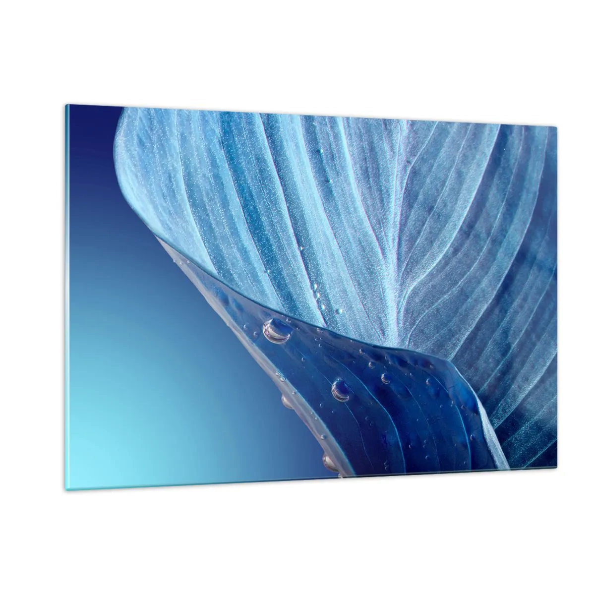 Glass picture - Hidden Drops of Blue - 120x80 cm