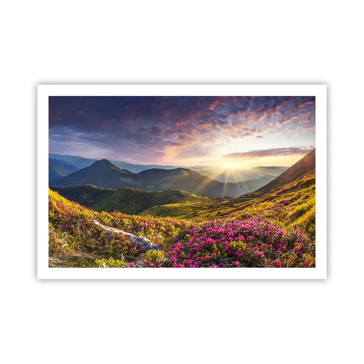 Poster - Freshness of Mountain Morning - 91x61 cm