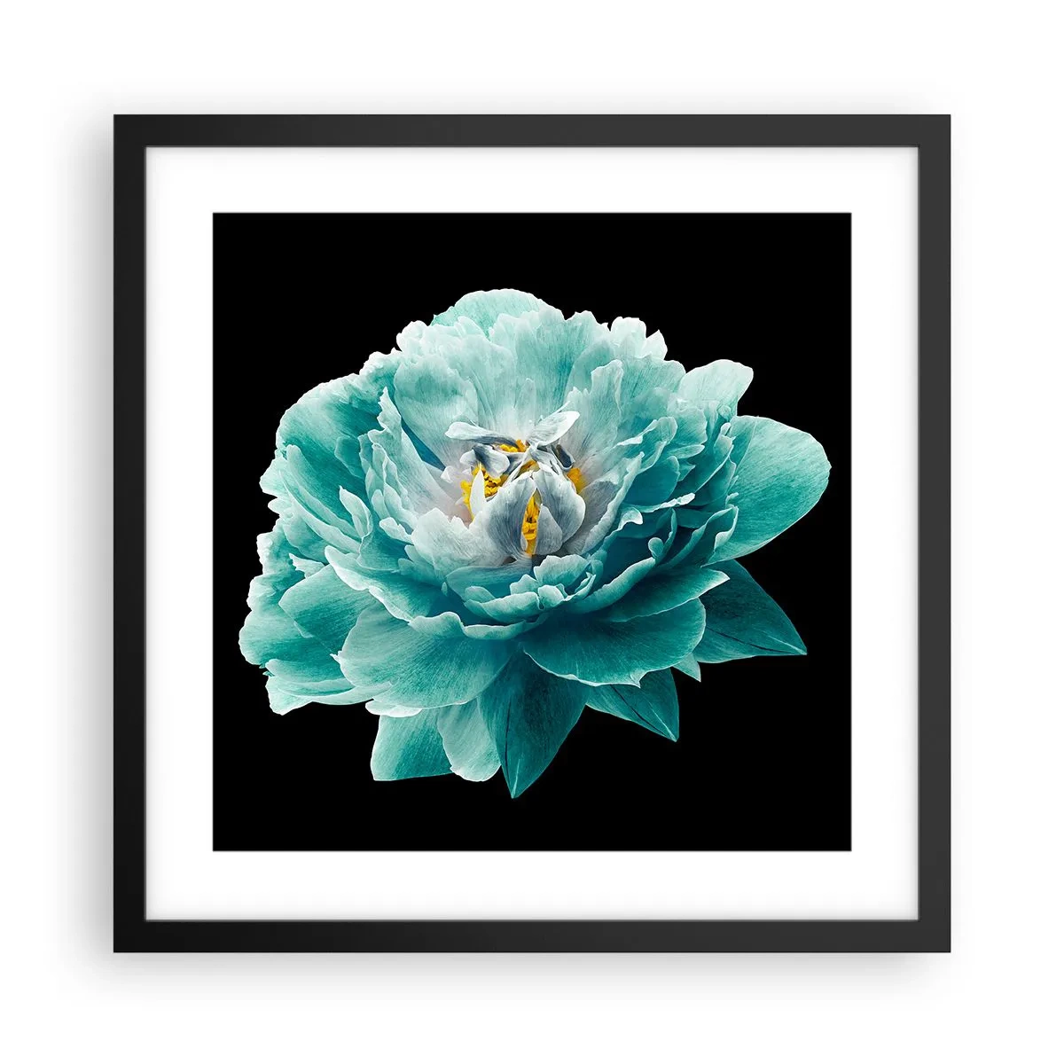 Poster in black frame - Blue and Gold Petals - 40x40 cm