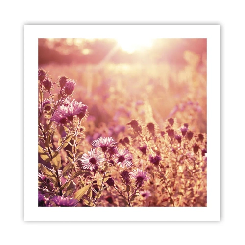 Poster - Before Summer Goes - 50x50 cm