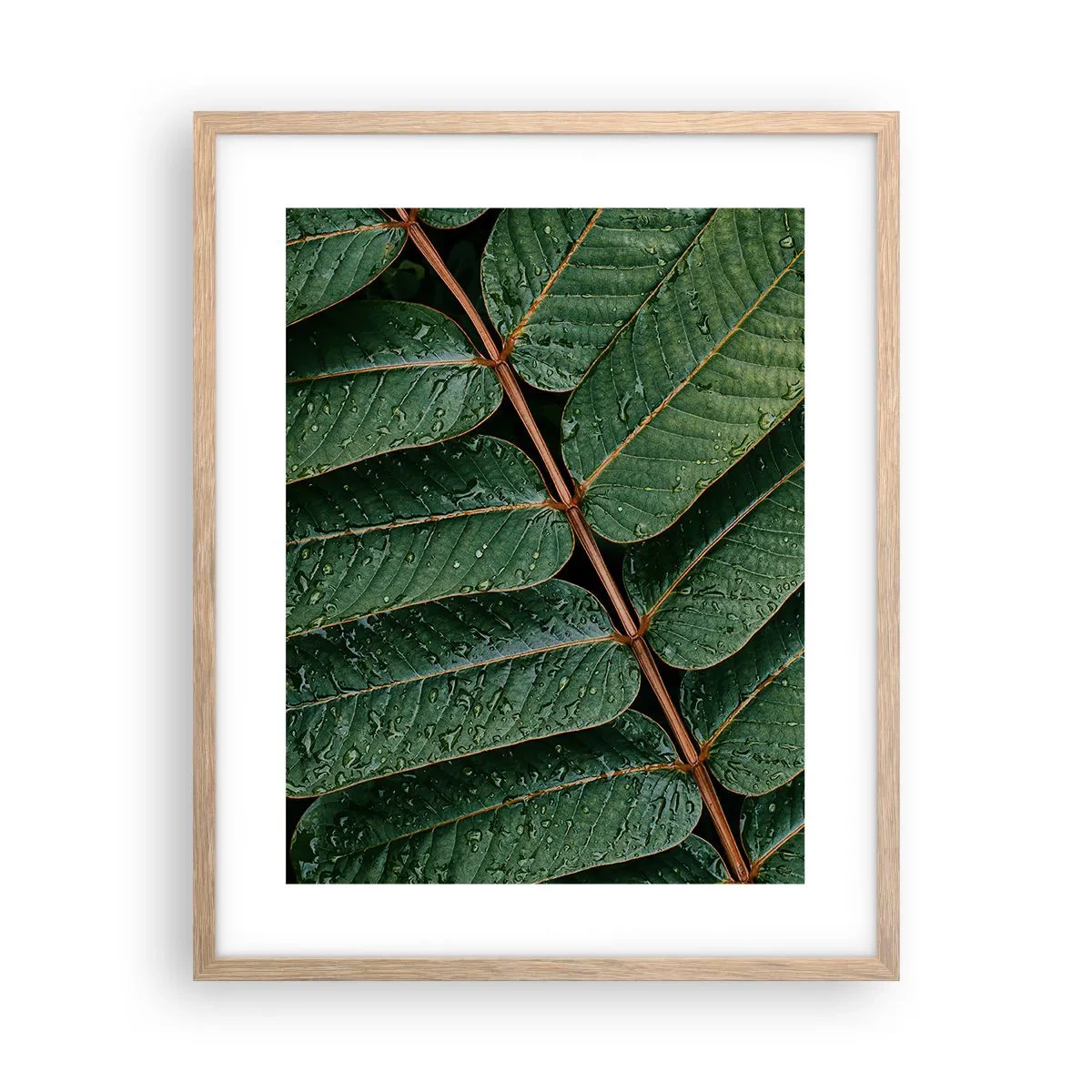 Poster in light oak frame - In Green Rhythm - 40x50 cm
