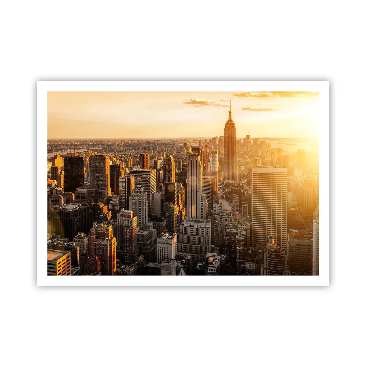 Poster - Growing in the Sun - 100x70 cm