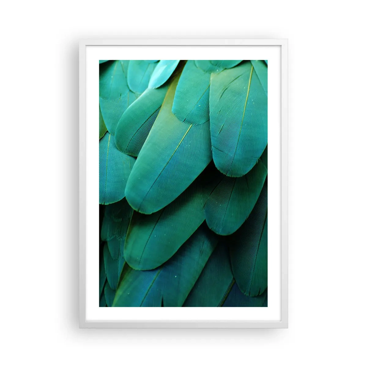 Poster in white frmae - Precision of Parrot Nature - 50x70 cm