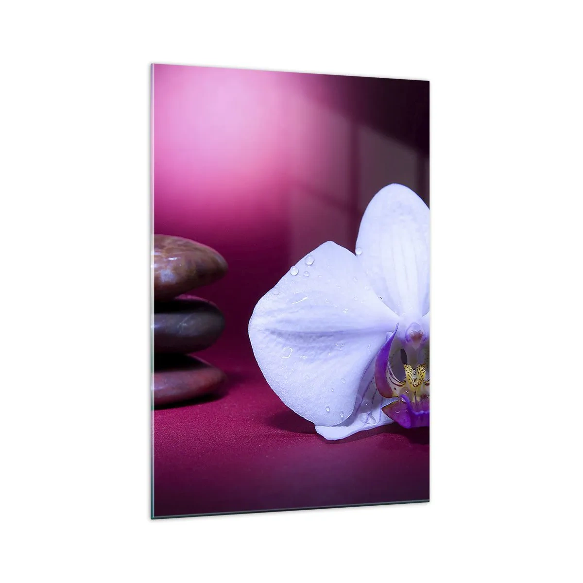 Glass picture - Study of Freshness in Purple - 70x100 cm
