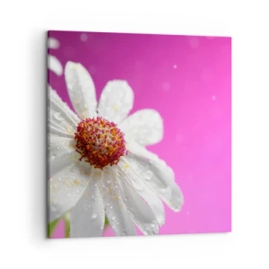 Canvas picture - Modest in Its Beauty - 50x50 cm