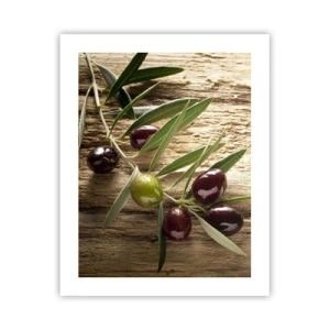 Poster - Straight from Nature - 40x50 cm