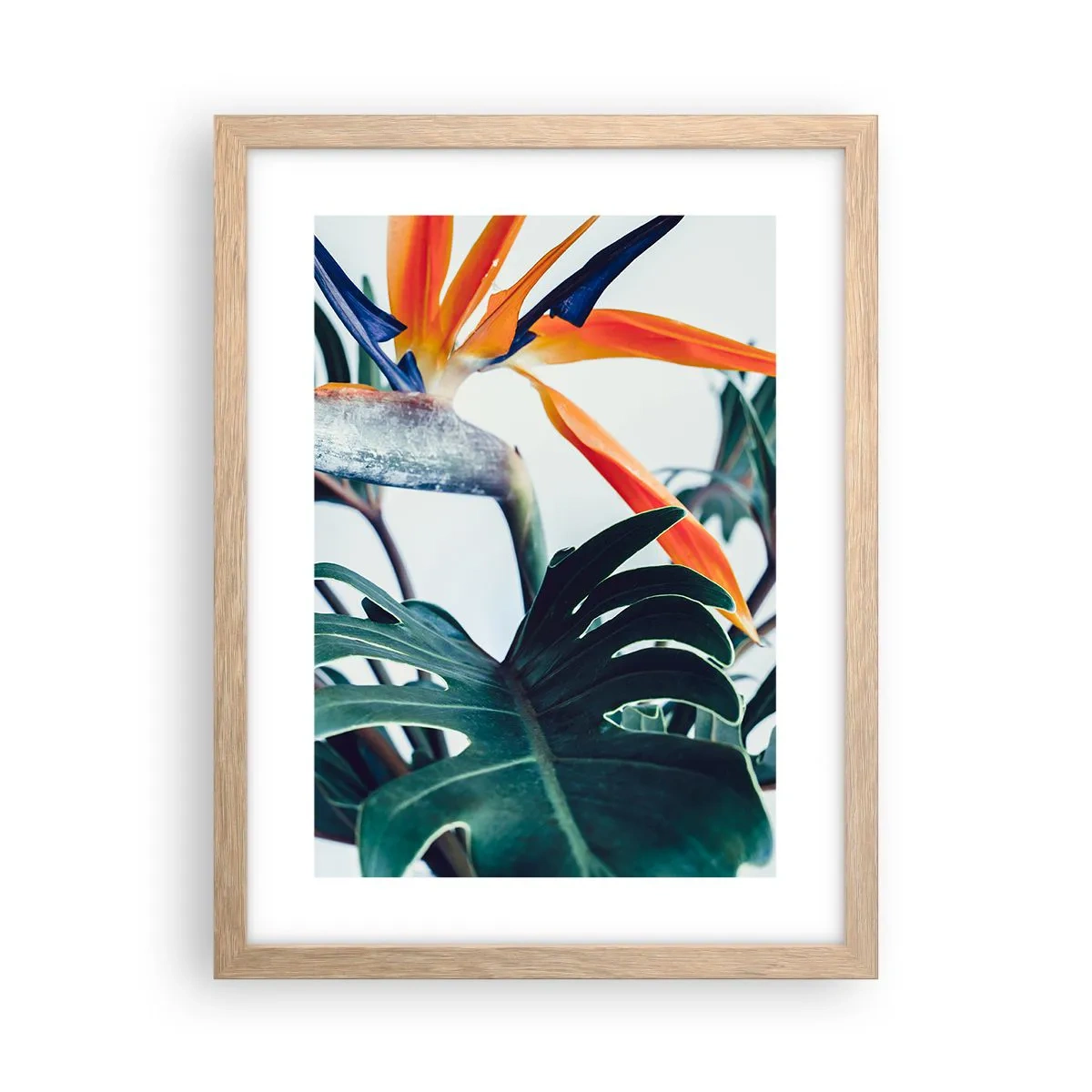 Poster in light oak frame - Birdy Bush - 30x40 cm