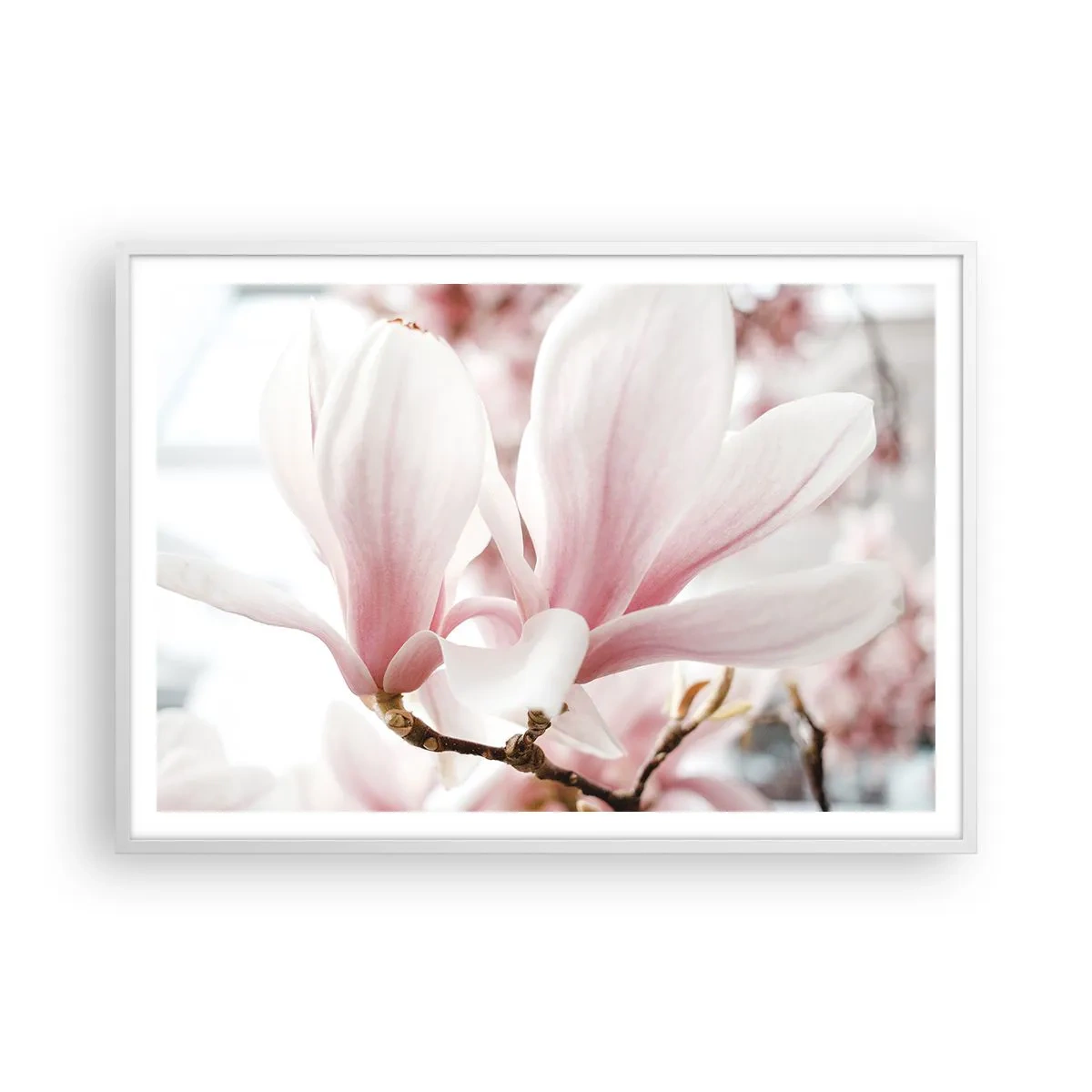 Poster in white frmae - Immensity of Tenderness - 100x70 cm