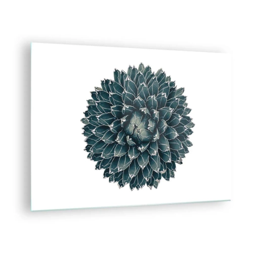 Glass picture - Symmetrical pattern of succulent plant on white background - 70x50cm - Star of the Desert - Modern wall decoration for the living room and bedroom ARTTOR