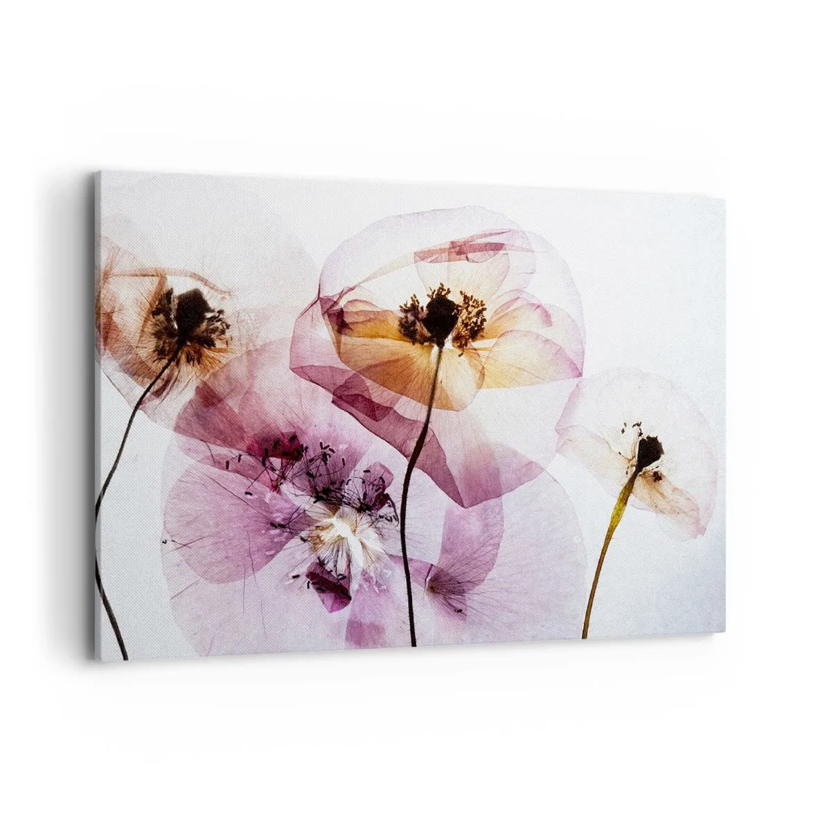 Canvas picture - Flower Body Slide - 120x80 cm