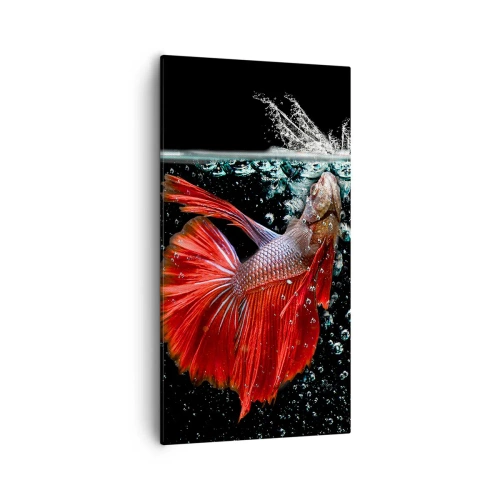 Canvas picture - You Have Three Wishes - 55x100 cm