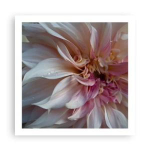 Poster - Blooming Freshness - 60x60 cm