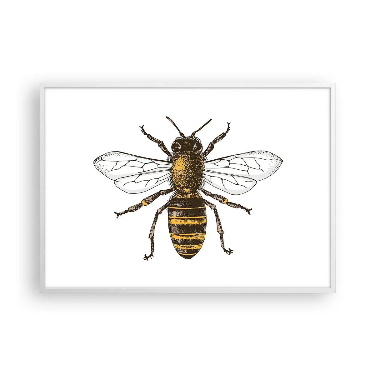 Poster in white frmae - Beautiful and Good - 100x70 cm