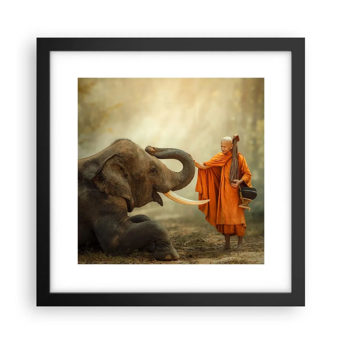 Poster in black frame - Unexpected Meeting - 30x30 cm