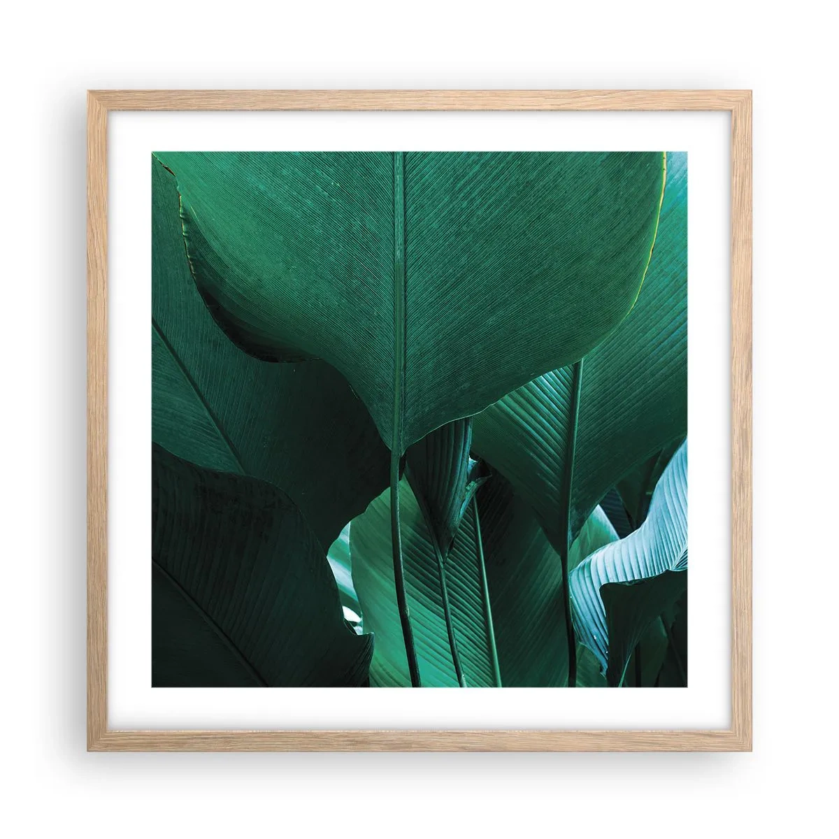 Poster in light oak frame - Turned towards Light - 50x50 cm