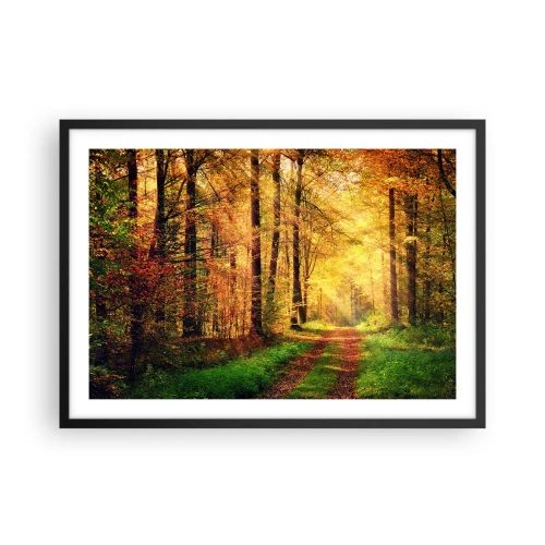Poster in black frame - Forest Golden silence - 70x50 cm